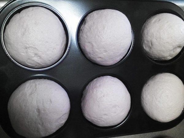 発酵した紫蘇ジュースで酵母菌を作り米パンを焼いてみた・笑